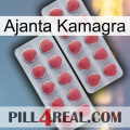 Ajanta Kamagra 19